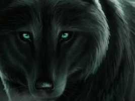 Haunted Werewolf Lycan Spell Magick changes empowerment Awakening transform  - £62.65 GBP