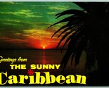 Grand Lettre Voeux De Sunny Caribéennes Chrome Carte Postale G10 - $4.04