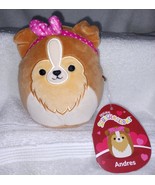 Squishmallows  Andres The Sheltie Dog  5&quot; NWT - £10.96 GBP