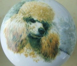 CABINET Knobs W/ Poodle Apricot Knob DOG - $7.18 CAD