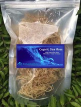 1 Pound - Premium Organic Sea Moss - Pure, Wildcrafted, Deep Ocean Harvested. - $24.27+