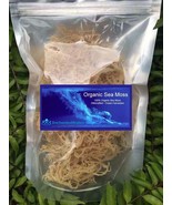 1 Pound - Premium Organic Sea Moss - Pure, Wildcrafted, Deep Ocean Harve... - £19.08 GBP+
