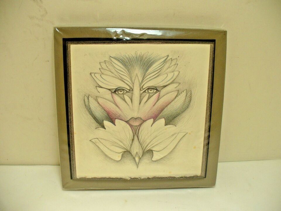 Hanging Photo Drawing Art Garnette Hathaway &quot;Feather Face&quot; from &quot;Flying ... - $16.99