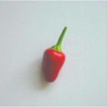 Korean Hot Peppers  10 Seeds  Garden Beautiful USA SELLER - £4.51 GBP