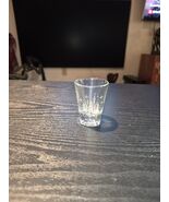 Walt Disney World Shot Glass Frosted Castle(Authentic from Disney) Etched - €13,69 EUR