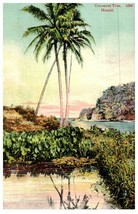 Hawaii Cocoanut Tree Hawaii  Vintage Postcard - £11.61 GBP