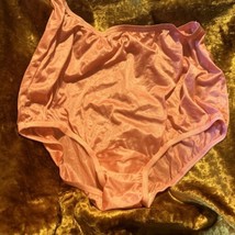 Vanity Fair Sheer Nylon Brief Granny Panties Style 15-712 Sizes 7/44 Pink - £11.91 GBP
