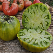 VPF 10+ Cherokee Green Tomato Seeds - Heirloom - Organic - NON GMO ------------  - $2.35