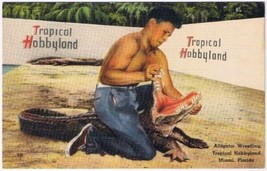Postcard Alligator Wrestling Tropical Hobbyland Miami Florida - £4.64 GBP