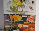 1978 Walt Disney&#39;s Fun &amp; Facts Flashcard DFF12-5: The Coral Reef - £1.56 GBP