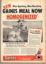1951 Print Ad Gaines Meal Dog Food Research Kennels General Foods - $14.53