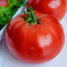 130 Seeds Tomato, Marglobe Supreme, Heirloom - £10.39 GBP