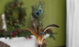 Peacock Feather Picks Set of 12 Blue Green Home Garden 25" High Flower Vase image 2