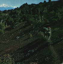 Oregon OR Volcanic Cascades Skyline Trail Sierra Club UNP Chrome Postcard - $3.91