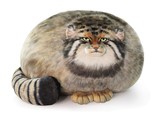 Cat Plush Body Pillow, Pallas Cat Plush Pillow, Cute Steppe Cat Stuffed ... - $47.99