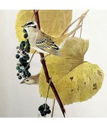 White Crowned Sparrow 1950 Lithograph Print Audubon Bird 1st Edition DWU14F - $29.99