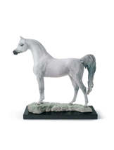 Lladro 01008343 Arabian Pure Breed Limited Edition New - $2,903.00