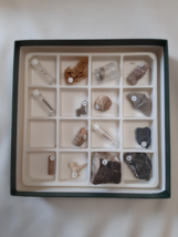 WARD&#39;S Natural Science - Introductory Fossil Collection  - $50.00