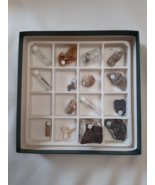 WARD&#39;S Natural Science - Introductory Fossil Collection  - £35.31 GBP