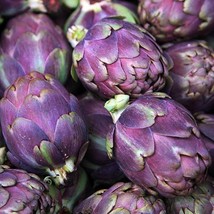 USA Seller Purple Italian Globe Artichoke 25 Seeds Cynara Cardunculus Var. Scoly - £6.93 GBP