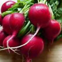 Cherry Belle Radish Seeds 200 Ct Vegetable Garden Heirloom NON-GMO  - £6.77 GBP