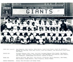 1975 SAN FRANCISCO GIANTS 8X10 TEAM PHOTO BASEBALL PICTURE MLB - £3.88 GBP