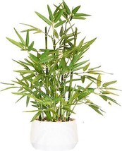 18 inch Tall White Potted Faux Bamboo Plant Luxury Artificial Bamboo Tree in Whi - £57.01 GBP