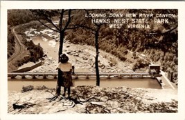 WV Hawks Nest State Park West Virginia Down New River Canyon RPPC Postcard Y18 - £13.27 GBP