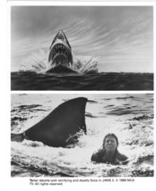 4 Jaws 2 II Shark Attack Artwork Roy Scheider Press Photo Publicity Promo Still - £7.18 GBP