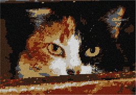 Pepita Needlepoint Canvas: Menacing Cat, 10&quot; x 7&quot; - £39.15 GBP+