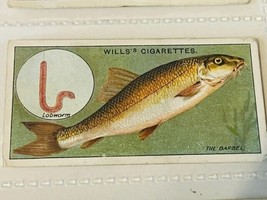 WD HO Wills Cigarettes Tobacco Trading Card 1910 Fish &amp; Bait Lure Barbel... - $19.69