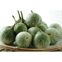 USA SELLER Thai Round Green Eggplant Seeds Fast Shipping - £7.32 GBP