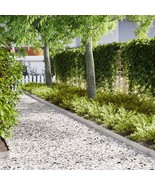 vidaXL Lawn Edgings 50 pcs 39.4x0.2x5.9 in Stainless Steel - $1,021.26 CAD