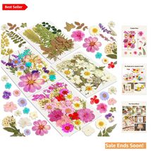 Dried Flowers for Crafting 100Pcs Natural Purple Pressed Flowers for DIY... - $20.74