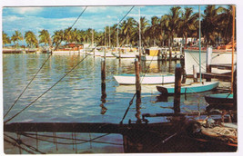 Postcard Florida Typical Yacht Basin - £1.64 GBP