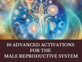 10 Advanced Energy Activations for the Male Reproductive System - £150.83 GBP