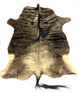 Authentic Blue Wildebeest Game Hide Fur Rug 62” Long 50” Wide + Tail - $682.15 CAD