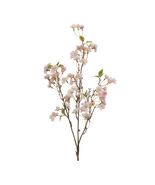 Blossom Floral Branch (Set of 4) - 588742 - $1,245.15 MXN