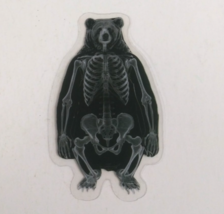 Bear X-Ray Transparent Sticker 2.25&quot; x 1.38&quot; (T) - $1.64