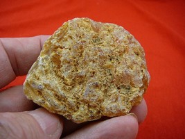 (k-3216) 30 g Rare Kauri tree Gum copal young Amber New Zealand Tane Mahuta - $720.39 MXN
