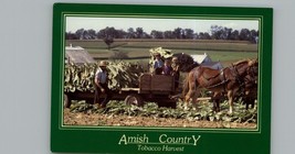 Vintage Amish Country Tobacco Harvest Postcard - £3.86 GBP
