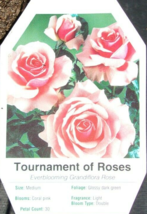 Tournament Of Roses Large Coral Pink Blooms Rose 3 Gal Bush Plant Flower Plants - £42.59 GBP