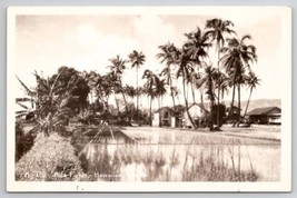 Rice Fields Hawaiian Island Huts Palms HI RPPC Real Photo Postcard K24 - $18.95