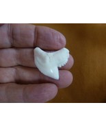 (s5-70) 1-1/4" inch modern White TIGER SHARK TOOTH teeth made to order p... - €29,20 EUR (s5-70) 1-1/4" inch modern White TIGER SHARK TOOTH teeth made to order p... - €29,20 EUR