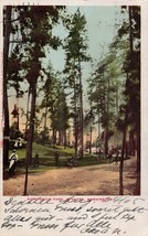 SPOKANE WASHINGTON ~NATATORIUM PARK~1905 PHOTO POSTCARD - £6.22 GBP