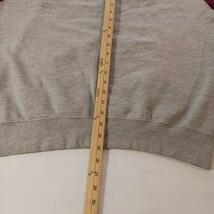 Panthers Men's Gray & Red Long Sleeve Drawstring Hoodie Pullover Sweatshirt XL image 15