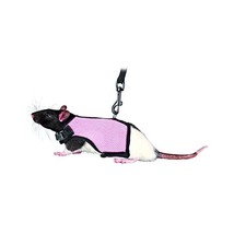 Trixie 61511 Harness for Small Animals for Rats Nylon 9 - 12 cm / 12 - 1... - $18.00