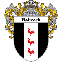Babcock Family Crest / Coat of Arms JPG and PDF - Instant Download - £2.28 GBP