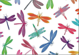 Postcard Dragonflies Multi-colored Blank Back   6 x 4.25&quot; Unposted - £4.58 GBP