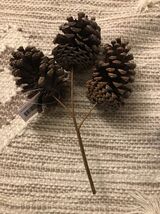 Pinecones Decorations - €9,24 EUR